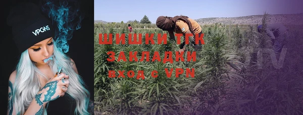 PSILOCYBIN Ростов